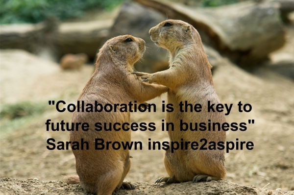 collaboration_600_398_100